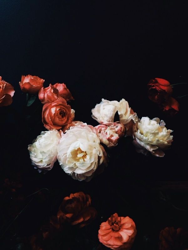 10353046_10201883285482290_3324054851303375118_n